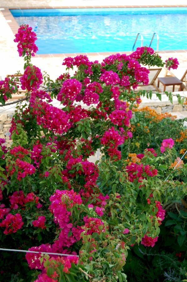 Aeolos Hotel Koufonisia Exterior photo